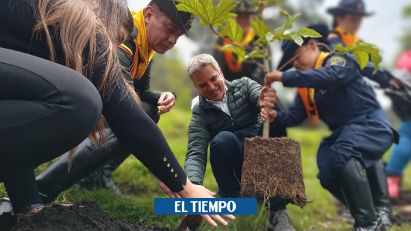  Así puede sumarse a la Gran Sembratón Nacional – Medio Ambiente – Vida – ELTIEMPO.COM