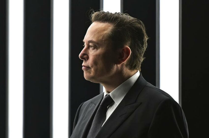  El ‘as bajo la manga’ de Twitter: Accionistas se defienden de oferta de Musk con ‘píldora venenosa’