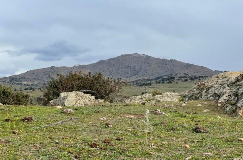  El 23 de abril se celebra la XIX Marcha Medio Ambiente de Colmenar Viejo, que recorrerá a …