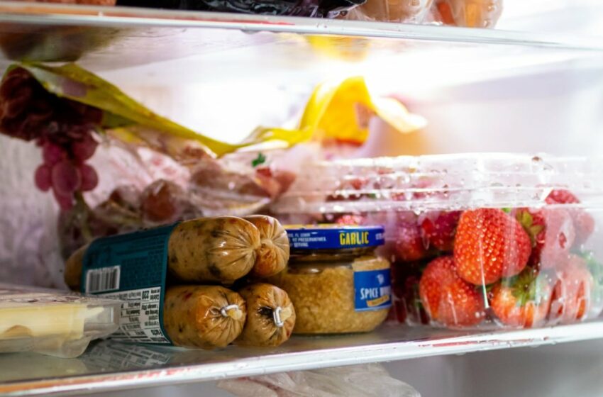  ¿Es bueno meter la comida al refrigerador? Esto dicen los expertos – Televisa