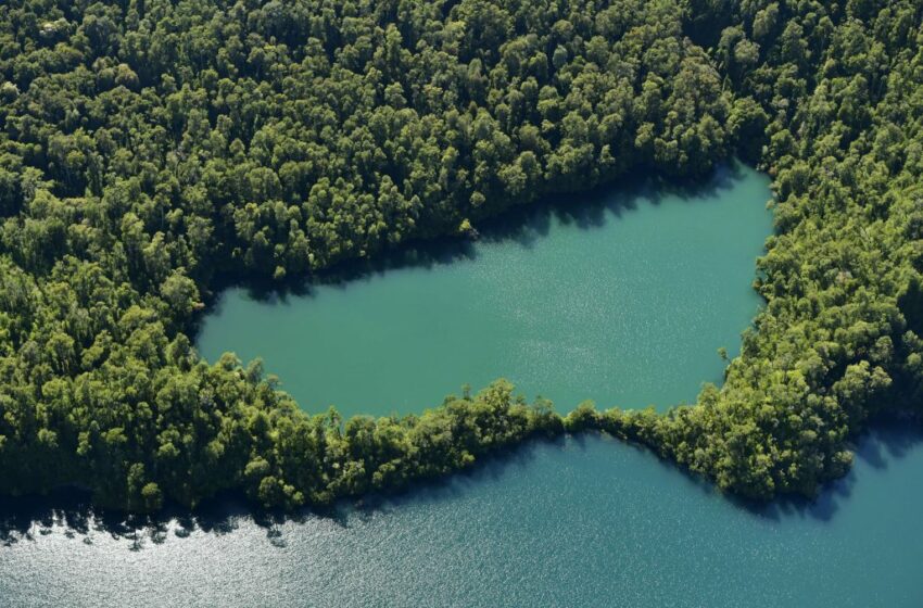  Chile tendrá mapa nacional para conservar la biodiversidad crítica para el desarrollo humano