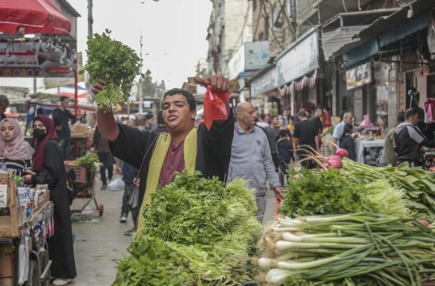  El conflicto de Ucrania y la inseguridad alimentaria – El Financiero