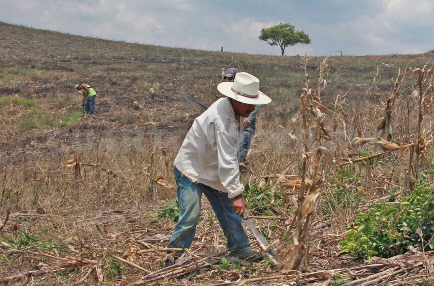  Producir alimentos impacta al planeta – Cuarto Poder