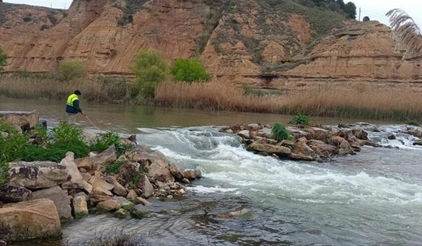  El Bajo Cinca realiza labores contra la mosca negra en sus ríos – El Periódico de Aragón