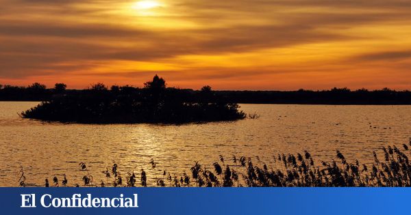  "El medio ambiente siempre va por detrás de la economía" – El Confidencial