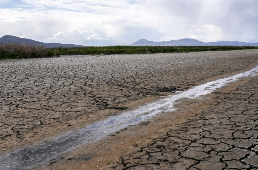 Sequía en California obliga a reducir el consumo de agua – Los Angeles Times