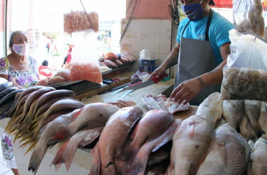  ''Trampa'' al comprador yucateco: venden pescado ''made in Asia'' – Diario de Yucatán