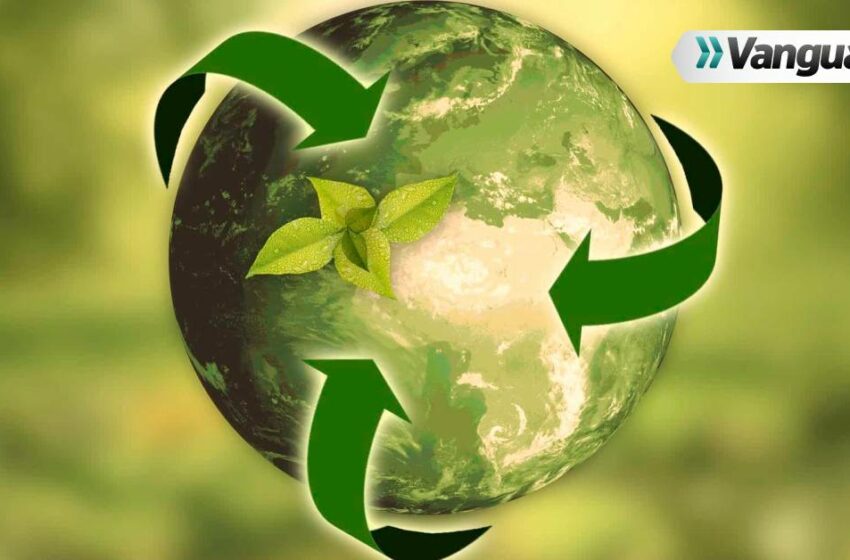  Implementar la logística verde, un llamado para aportar al medio ambiente | Vanguardia.com