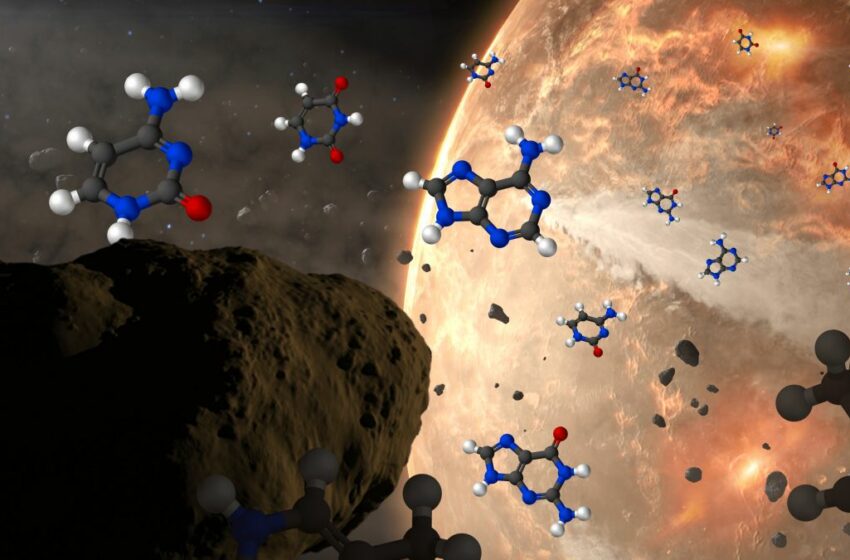  Los meteoritos podrían haber traído las 5 “letras” genéticas del ADN a la Tierra