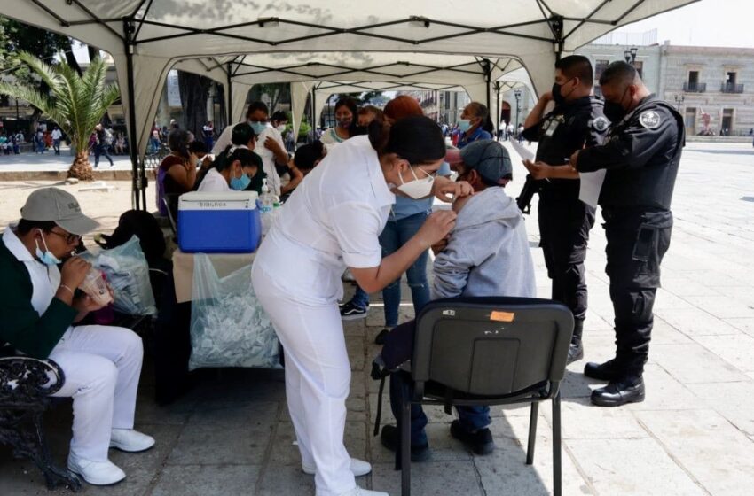  México suma 31 muertes y mil 290 casos de COVID-19 en la últimas 24 horas – Noticieros Televisa