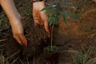  Sindicatos reclaman la regulación de la figura de delegado medioambiental – EFEverde