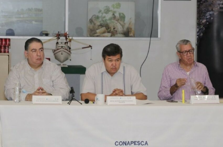 Revalidan trabajar unidos para mantener certificación de camarón – Debate