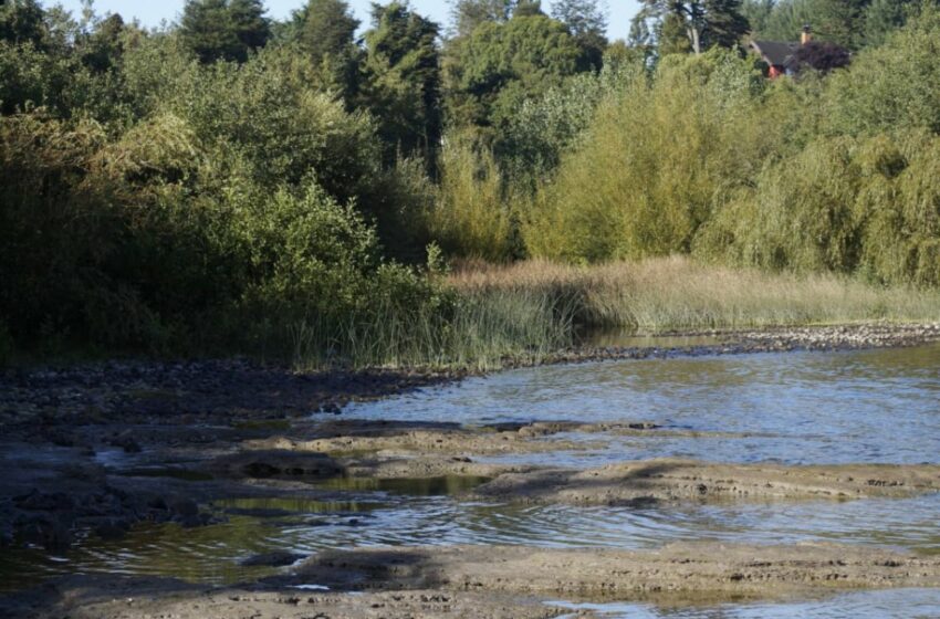  Tercer Tribunal Ambiental rechazó reclamación interpuesta por privado contra Ministerio del …