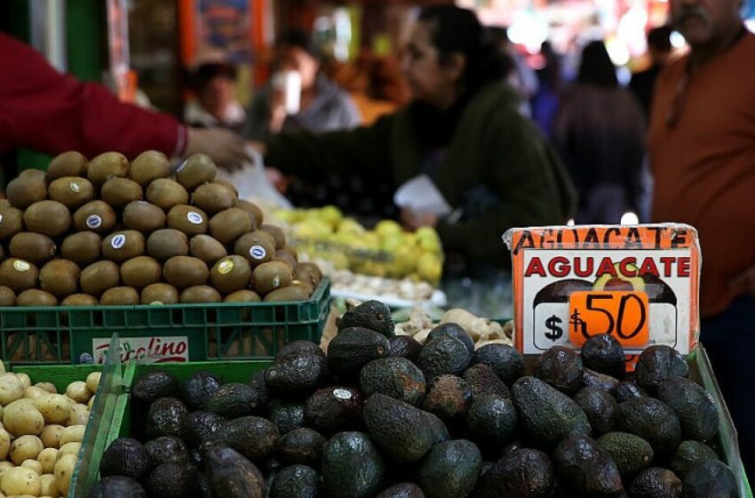  Aguacate, jitomate y huevo presionan a la inflación en primera quincena de mayo