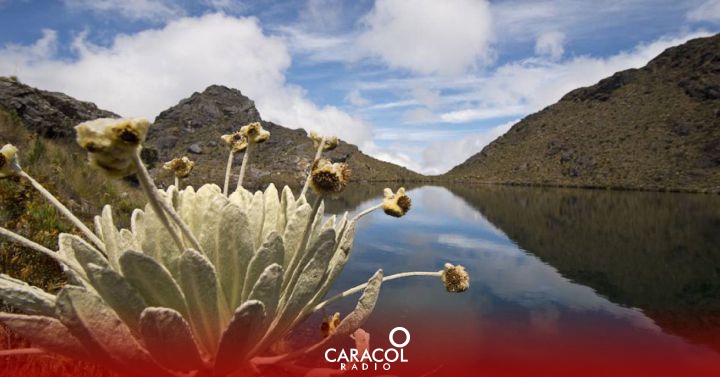  Bogotá y cinco departamentos firmaron alianza por el medio ambiente – Caracol Radio