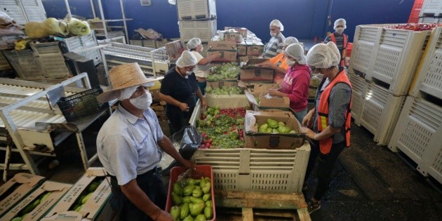  El DIF Jalisco entrega recursos a cuatro bancos de alimentos | El Informador