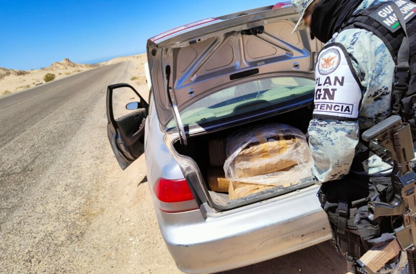  En Sonora, Guardia Nacional decomisó cargamento de marihuana en un vehículo | Capital México