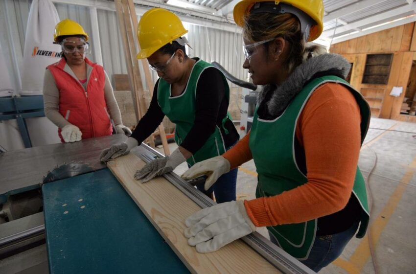  6 de cada 10 madres de familia en Puebla no cuentan con un empleo que les genere ingresos