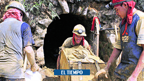  Minería en Colombia: oficio mortal que ha dejado 1.306 muertes en 10 años – ELTIEMPO.COM