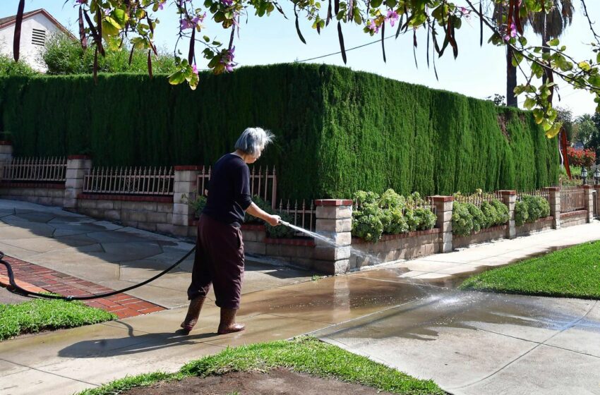  Los Ángeles impone el racionamiento de agua más estricto ante la sequía | Clima y Medio Ambiente