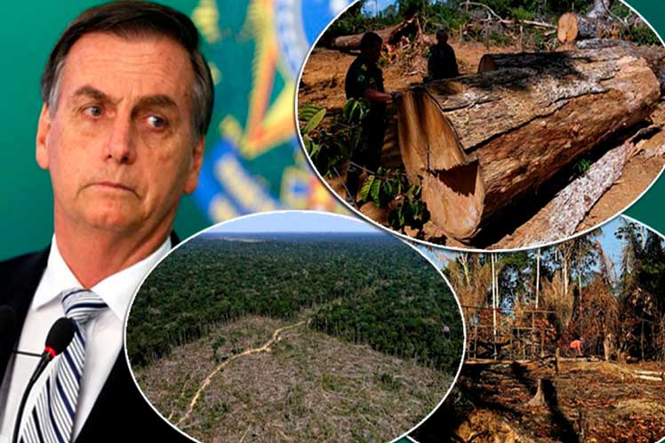  Deforestación en Amazonia brasileña impone marca en abril