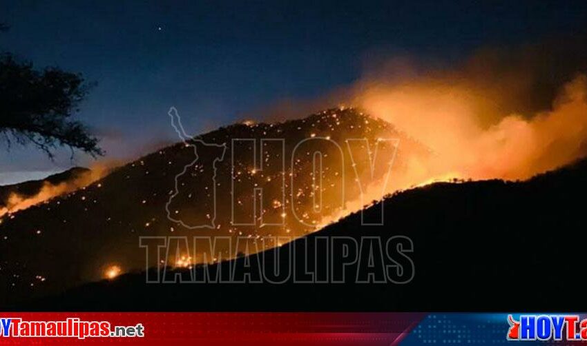  Reportan incendio forestal en sierra del noreste de Sonora – Hoy Tamaulipas