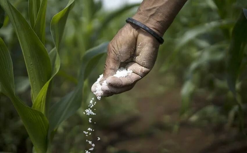  Gobierno recorta a casi la tercera parte compra de fertilizantes por débil sustento de Midagri