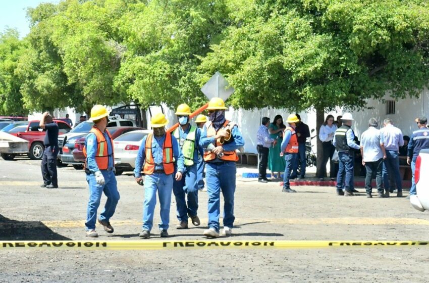  Un pajarito provoca cortocircuito que electrocutó a 8 trabajadores en Sonora – El Universal