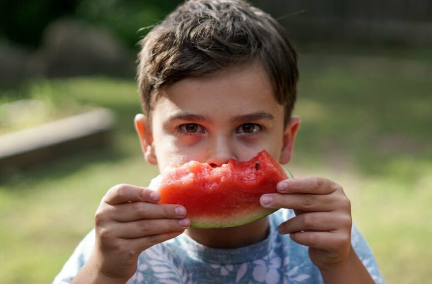  Alimentos saludables para los niños – Televisa