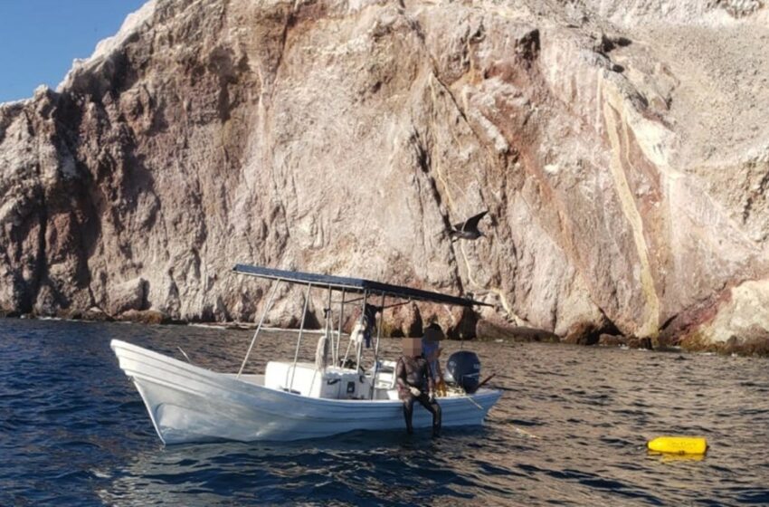  Pescadores de Topolobampo denuncian saqueo de especies en el Farallón – Debate