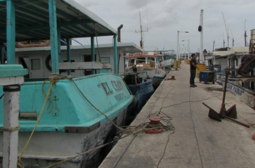  Flota 12 veces mayor – Diario de Yucatán