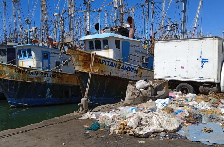  ¿Adiós al basurero? Buscan reordenar el muelle pesquero – El Sol de Mazatlán