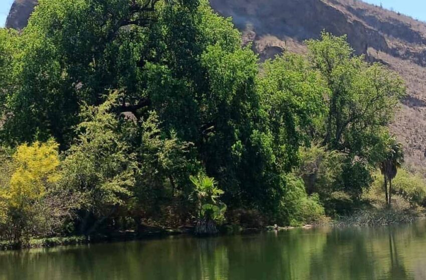  Río Yaqui: Paraíso