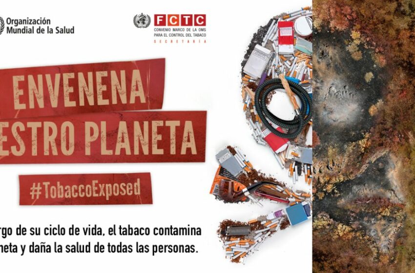  El tabaco envenena el medioambiente, una razón más para dejar de fumar – EFE Salud