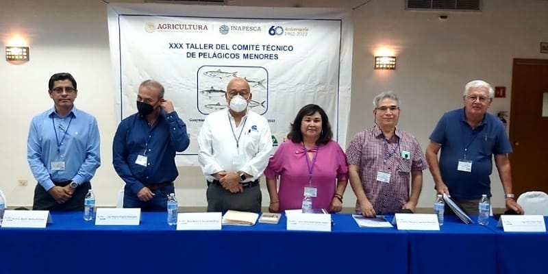  Inaugura titular de SEPESCA taller de pelágicos menores – Diario Tijuana