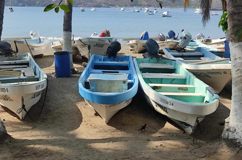  Notifican a pescadores de Zihuatanejo inicio de veda de ostión – Quadratín Guerrero