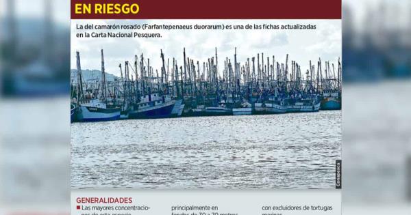  Pega cambio climático a diversas pesquerías – El Mañana de Reynosa