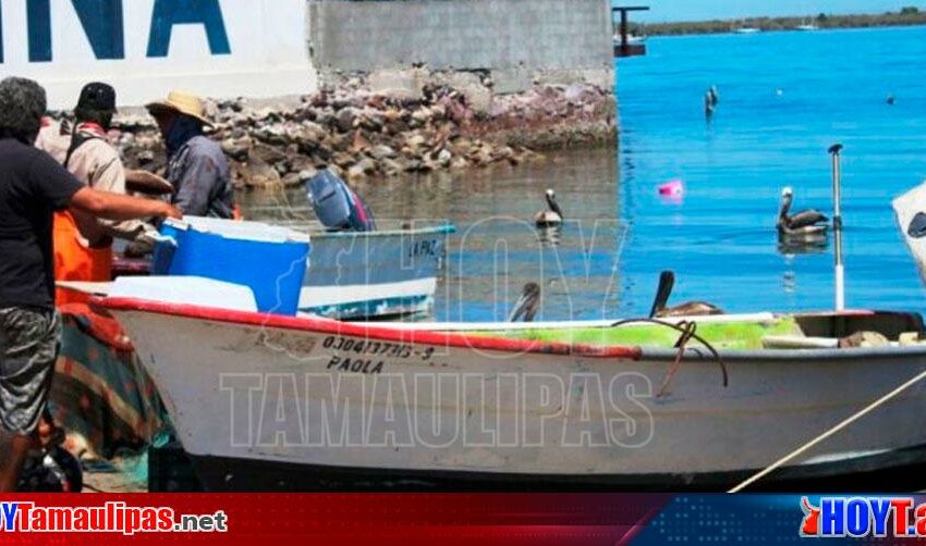  Depurarán padrón de seguro de vida para pescadores en BCS – Hoy Tamaulipas