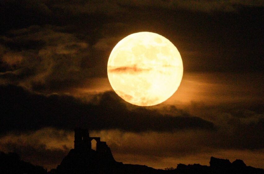  Luna de fresa: ¿cuándo será la luna llena de junio 2022?