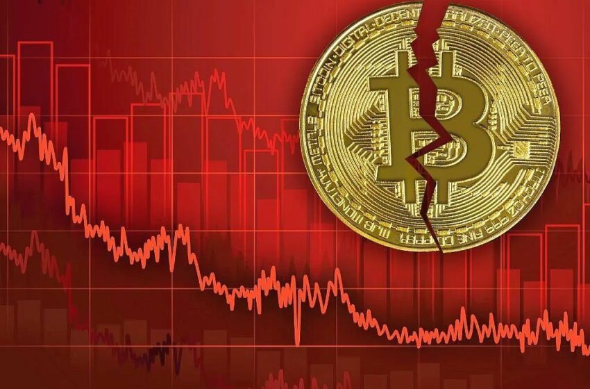  Criptomonedas: los motivos reales de la caída del Bitcoin y cuál es la mejor salida