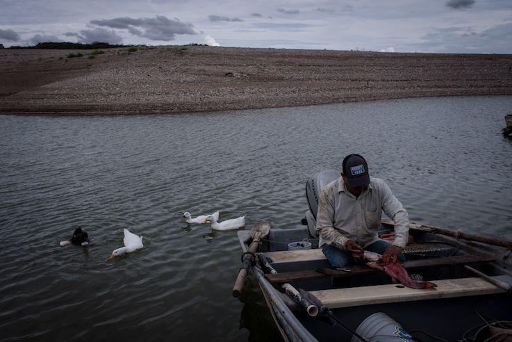  OMC propone fondo millonario para apoyo a la pesca – Eje Central