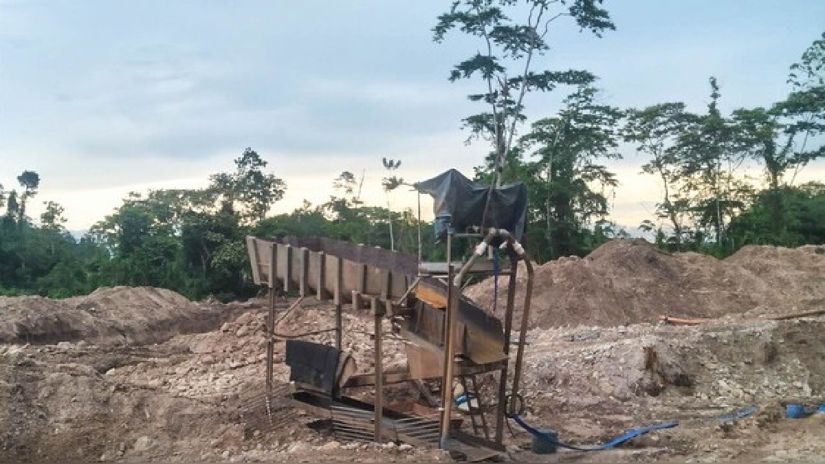  Huánuco: Gobernador pide intervenir minería ilegal que amenaza selva | RPP Noticias
