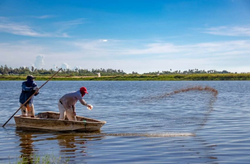  Aprovechará México experiencia de Noruega para crecer la industria acuícola y pesquera nacional