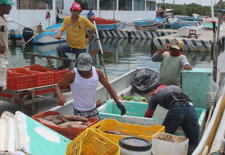  Otorgarán apoyos económicos para el sector pesquero de Yucatán – Grupo SIPSE