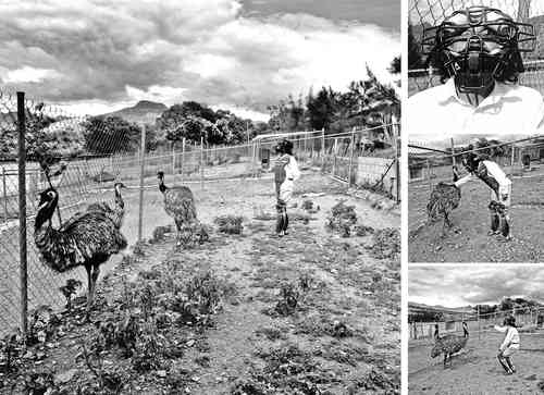  Exhiben “travesura”  de Graciela Iturbide  y Francisco Toledo