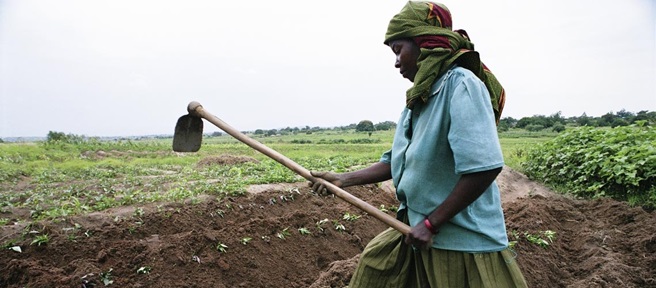  Fertilizantes: cómo gestionarlos para evitar una crisis alimentaria prolongada – Monitor Economico
