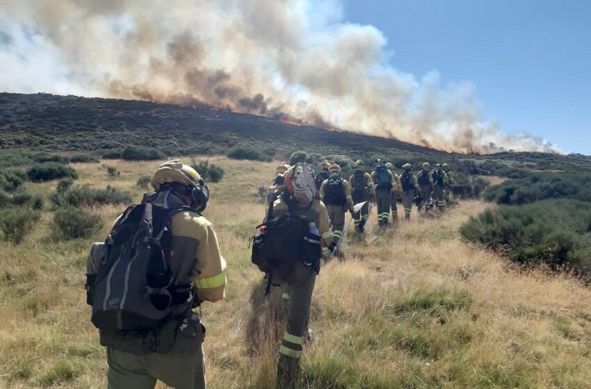  El TSJ tumba el decreto de Medio Ambiente sobre el nuevo plan de extinción de incendios …