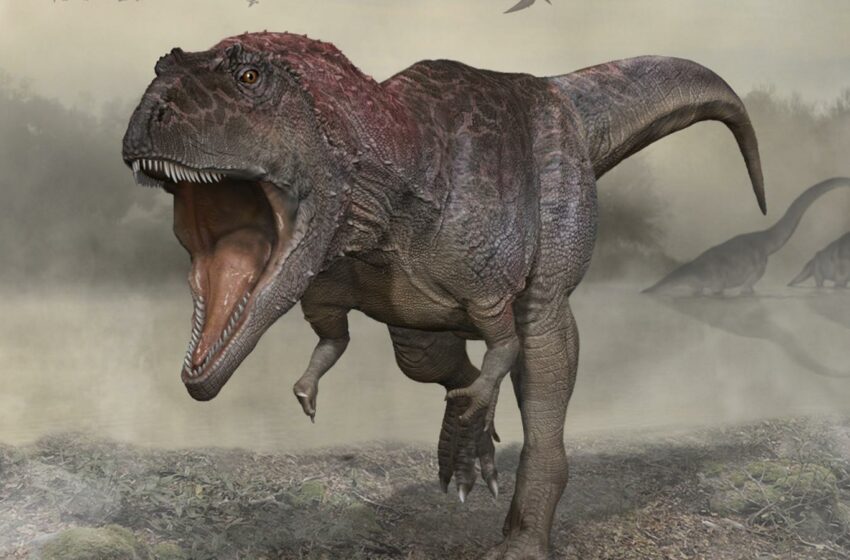 Descubren una nueva especie de dinosaurio con brazos pequeños como el T. rex