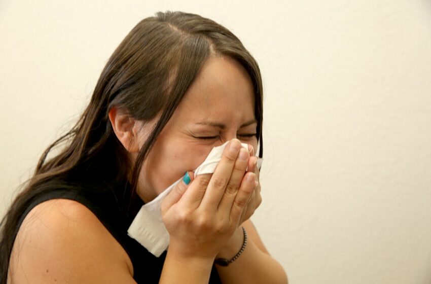  ISSSTE, a la vanguardia en tratamientos biotecnológicos para tratar alergia severa – Saludiario