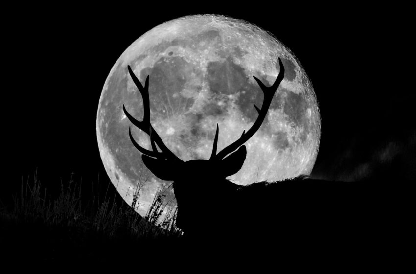Luna de Ciervo de julio 2022: ¿cuándo es y desde dónde se podrá ver?